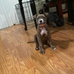 Meet your Posher, Dominic